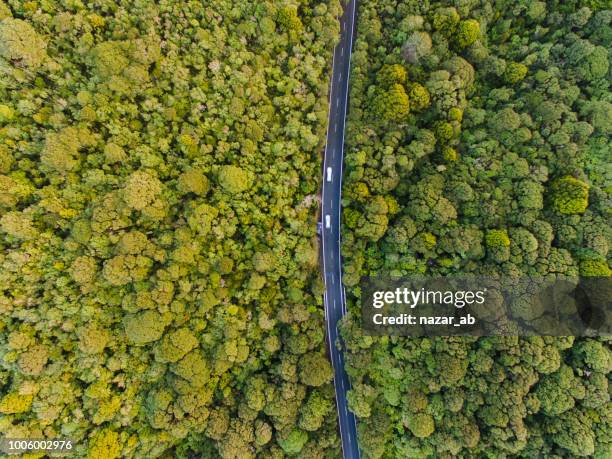 aerial view of long road cutting through forest. - new zealand aerial stock pictures, royalty-free photos & images