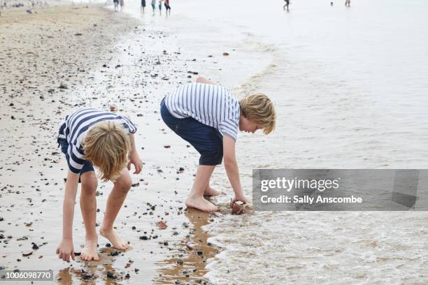two little boys collecting pebbles by the sea - boy exploring on beach stock pictures, royalty-free photos & images