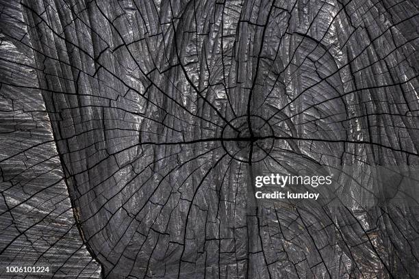 black veins image from top view of burnt stump. - black wood material stock pictures, royalty-free photos & images