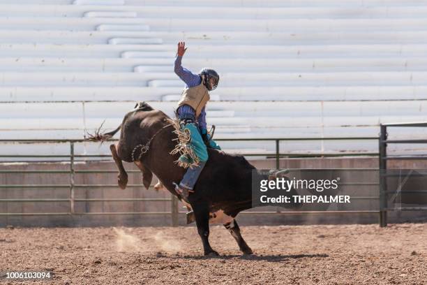 wissen van de stier van de rodeo-arena - bull riding stockfoto's en -beelden