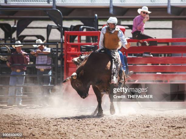 Bull Riding Rodeo Practice 7,953 Bull Train Stock Photos, High-Res Pictures, and Images - Getty Images