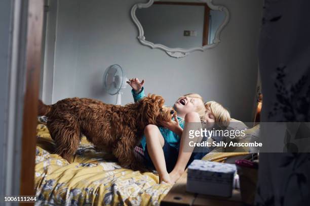 children playing with their pet dog - family dog stock-fotos und bilder