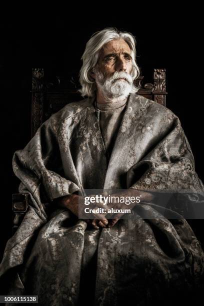 nobleman portrait - wizard beard stock pictures, royalty-free photos & images