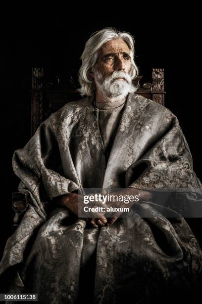 nobleman portrait - wizzard stock pictures, royalty-free photos & images