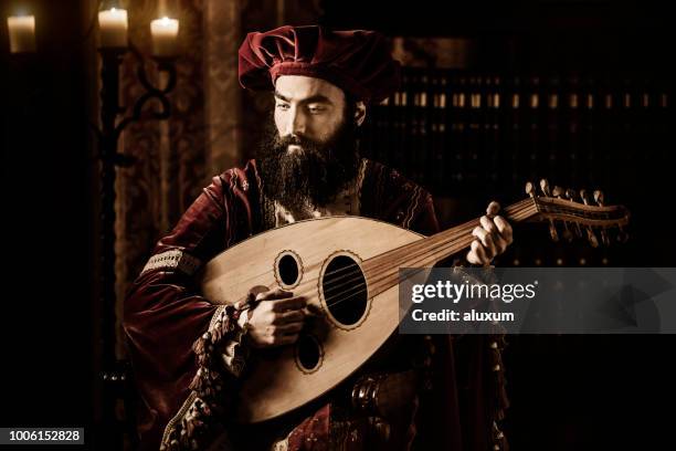 de troubadour - middeleeuws stockfoto's en -beelden