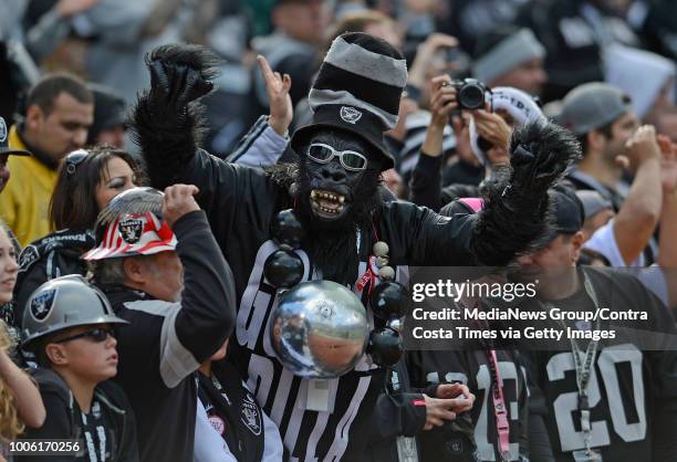 17 Cleveland Gorilla Stock Photos, High-Res Pictures, and Images ...