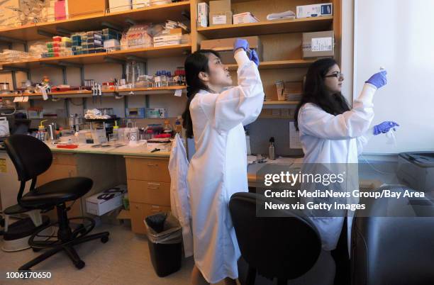 Post doctoral researcher Eun jung Kim, left, and Ph.D. Bioengineering student Zohora Iqbal , right, check membranes that may support human cells as...