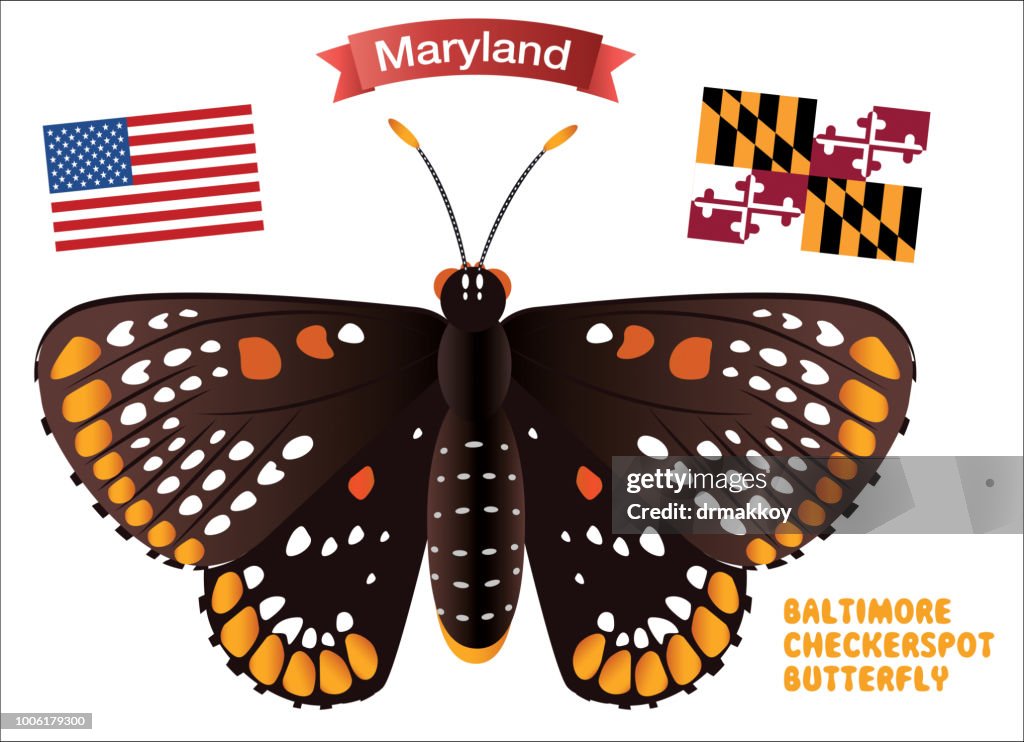 BALTIMORE CHECKERSPOT BUTTERFLY