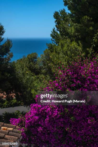 spanish land & seascapes - nerja stock pictures, royalty-free photos & images