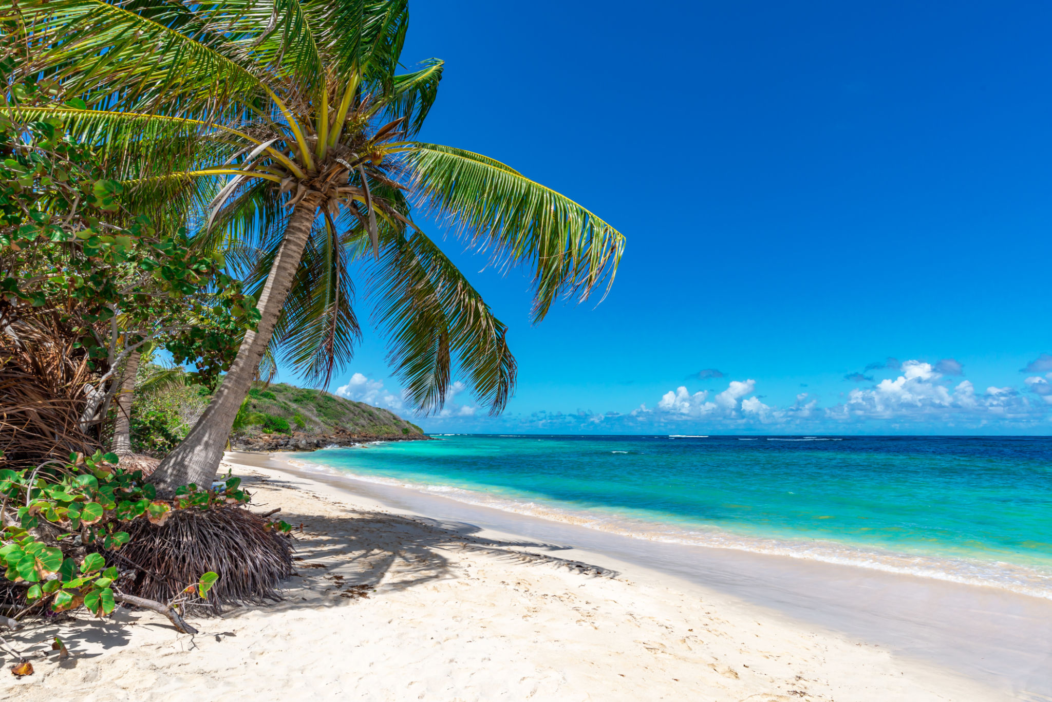 nassau beach