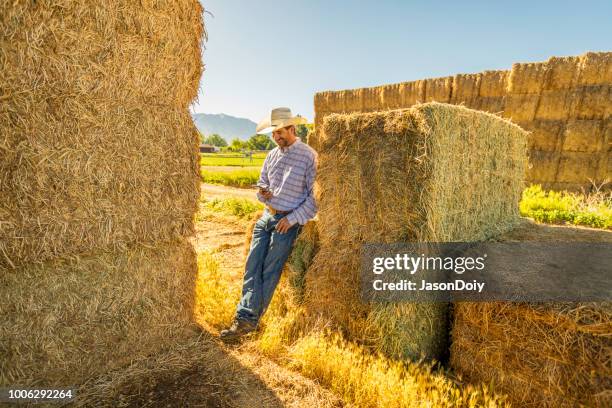 Jony Computer Ba Ranch Computer Cowboy Photos and Premium High Res Pictures - Getty Images