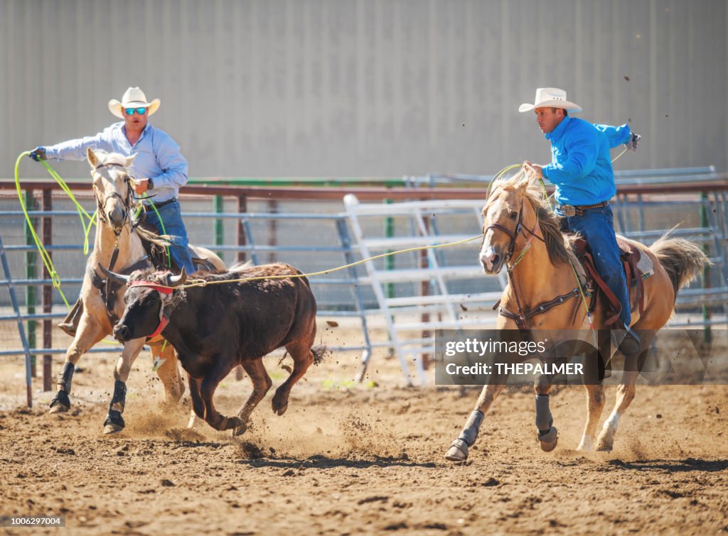 Memphis Roping Rodeo Team Roping Team Roping Rodeo Action High-Res Stock Photo - Getty Images