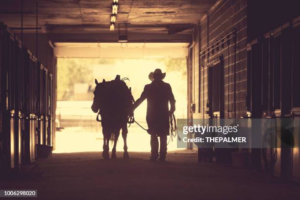 cowboy im pferdestall - pferdeartige stock-fotos und bilder