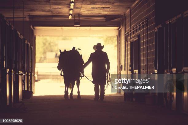 cowboy in una scuderia - cavallo equino foto e immagini stock