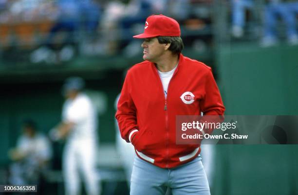 Red Roses Manager 181,017 Baseball Manager Stock Photos, High-Res Pictures, and Images ...
