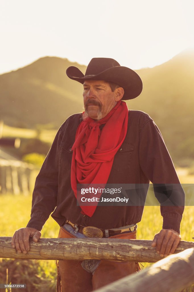 Cowboy Rassi Tough Cowboy