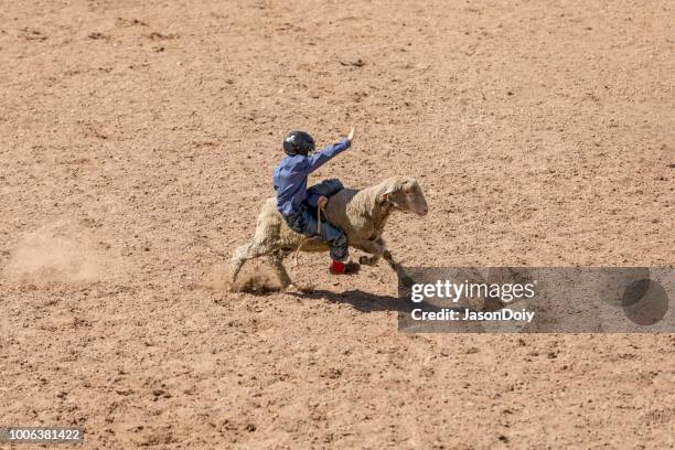 backwards mutton busing - mutton busting stock pictures, royalty-free photos & images