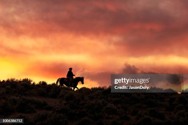 silhouette di un cowboy durante un tramonto glorioso - cowboy sillouette foto e immagini stock