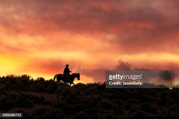 silhouet van een cowboy tijdens een schitterende zonsondergang - holding horse stockfoto's en -beelden