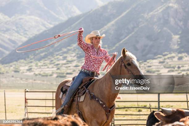 cowgirl abseilen rinder auf dem pferderücken in den frühen morgenstunden - cowgirl stock-fotos und bilder