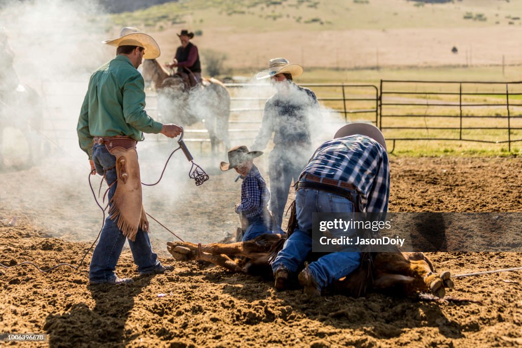 Learning The Ropes Young Cowboy Learns Farm Life On Ranch High-Res ...