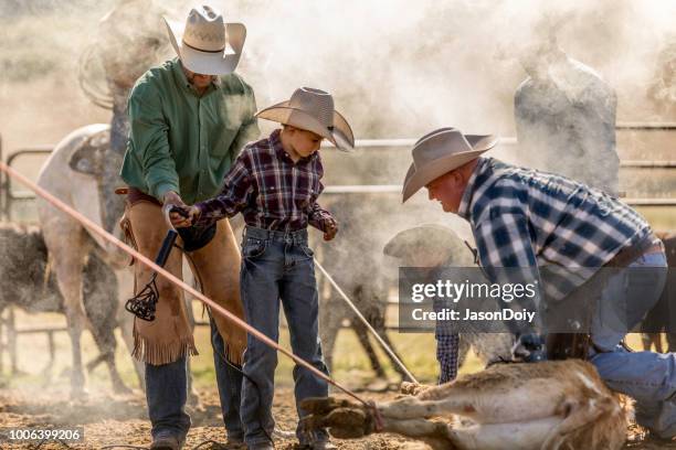 leren van de touwen: jonge cowboy leert leven op de boerderij op de ranch - vee drijven stockfoto's en -beelden