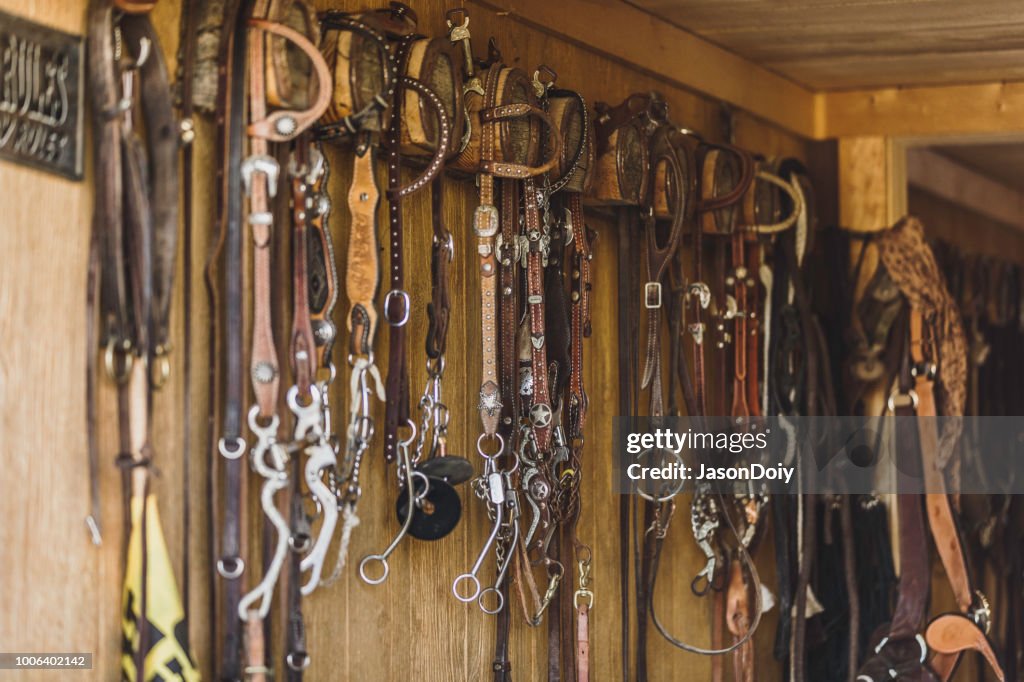Close-Up van hoofdstellen en paard Tack op houten muur
