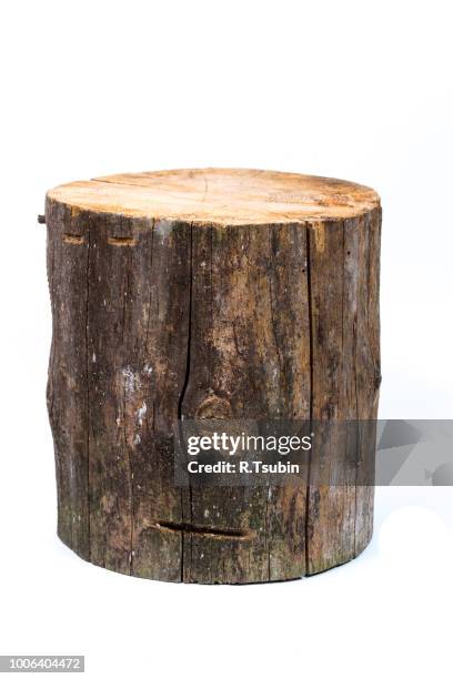 wood log isolated on a white background - tree trunk bildbanksfoton och bilder