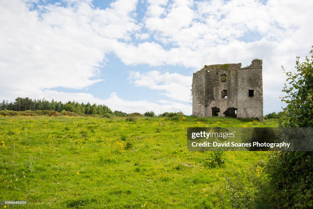 Rathcoffey demesne in Rathcoffey, County Kildare, Ireland