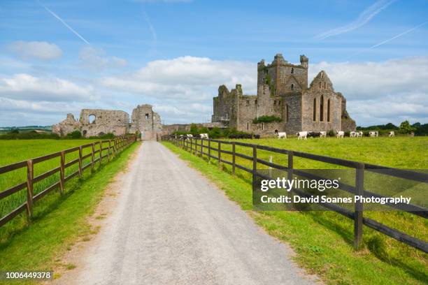 Dunbrody Abbey Hedge Maze