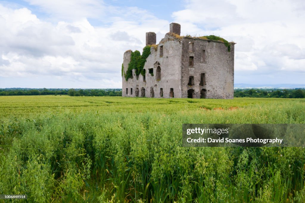 Rathcoffey Castle in Rathcoffey, County Kildare, Ireland