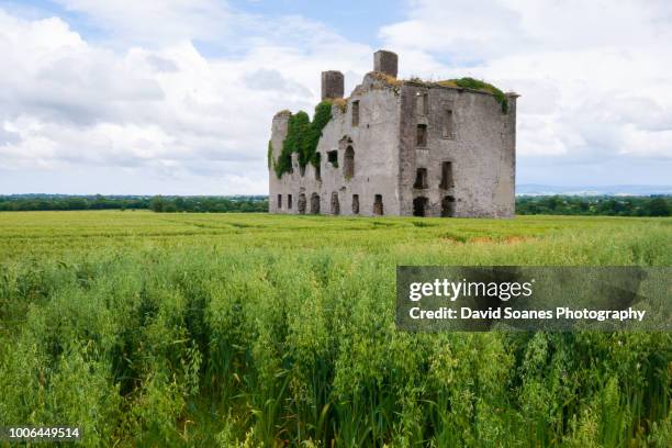 rathcoffey castle in rathcoffey, county kildare, ireland - county kildare fotografías e imágenes de stock