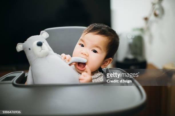 cute baby biting cuddly soft toy on high chair - suck stock pictures, royalty-free photos & images