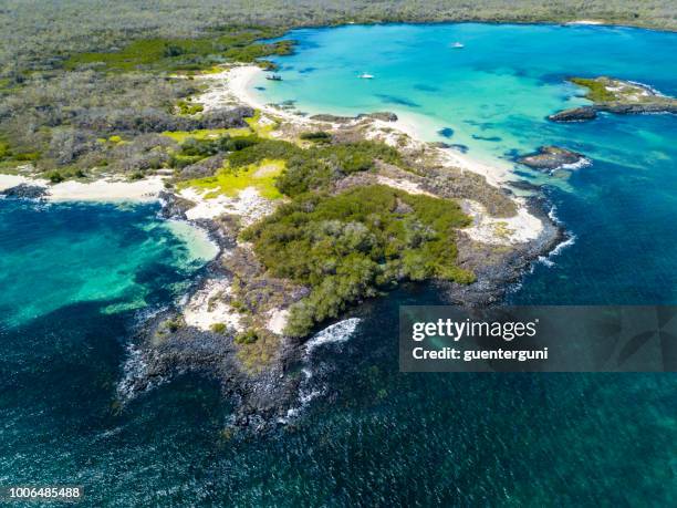 cerro brujo beach at san cristobal island, galapagos, ecuador - san cristobal imagens e fotografias de stock