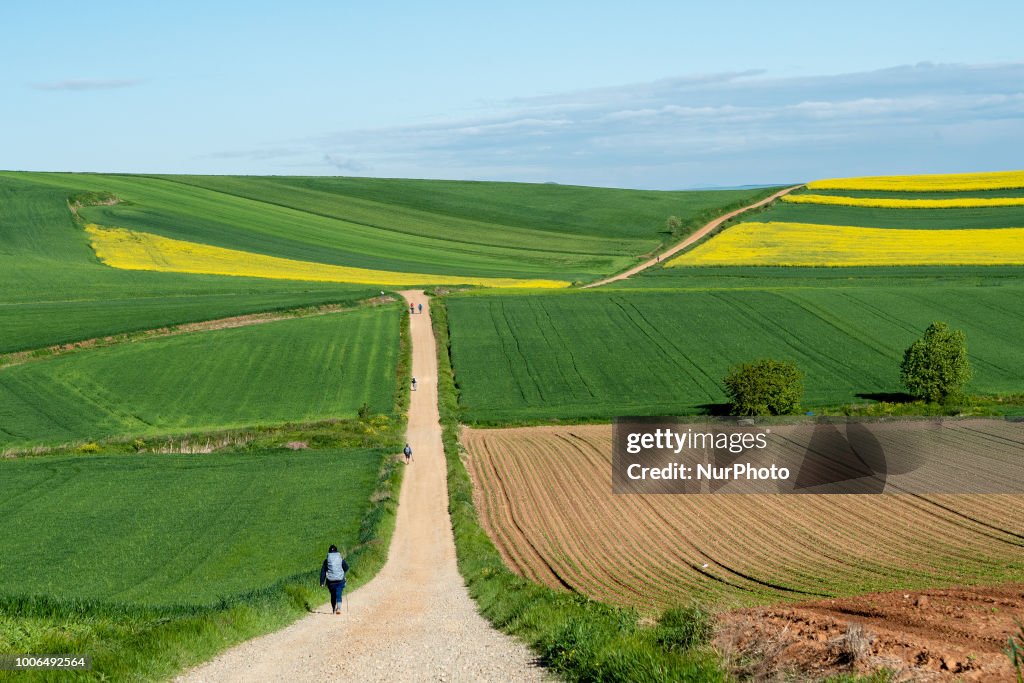 Walking the 'Camino de Santiago' in Spain