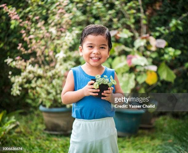 baby boy hold flower pot - flores indonesia - fotografias e filmes do acervo