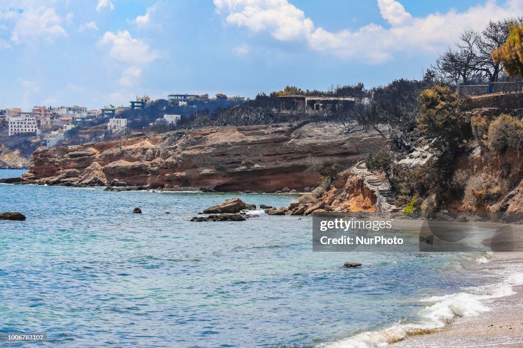Aftermath Of Wildfire In Mati, Greece