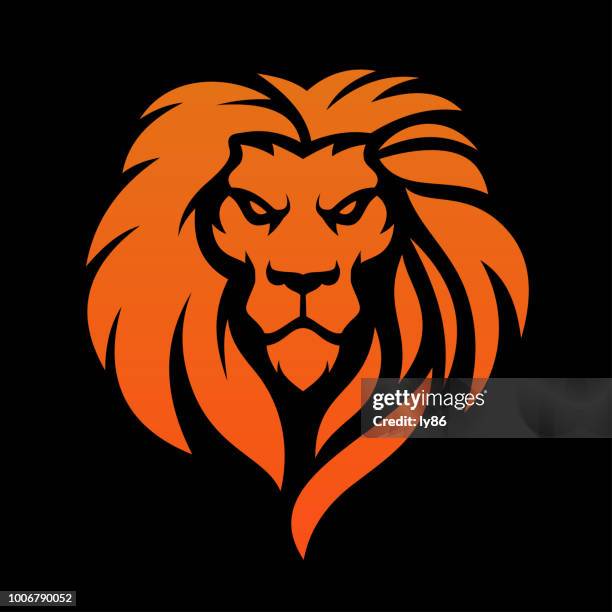 lion head - lion cub stock illustrations