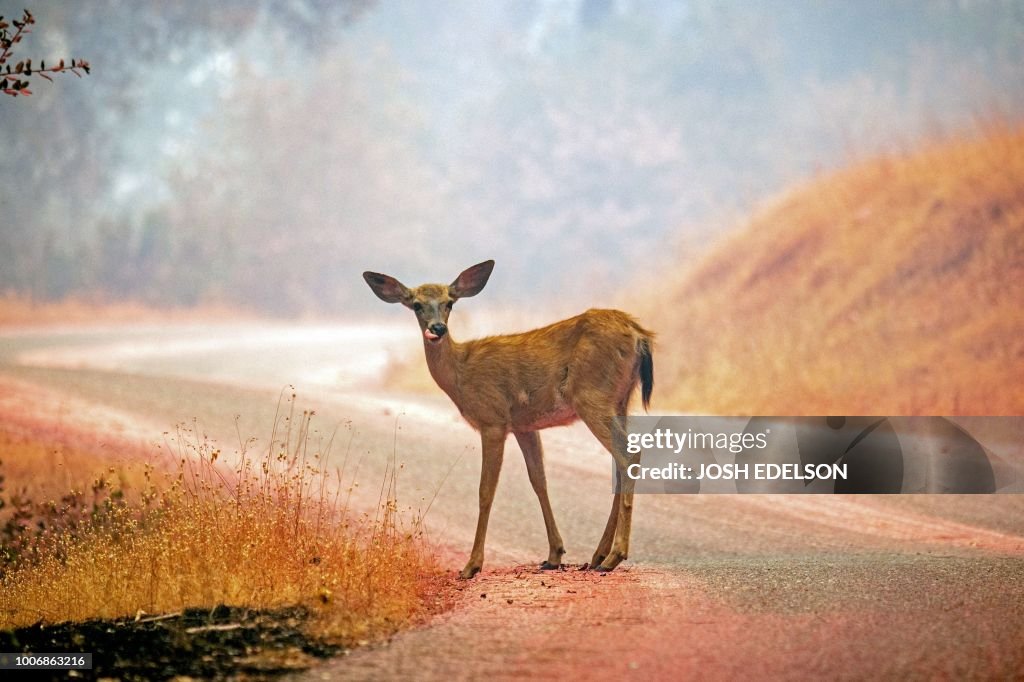 TOPSHOT-US-WILDFIRES-CALIFORNIA