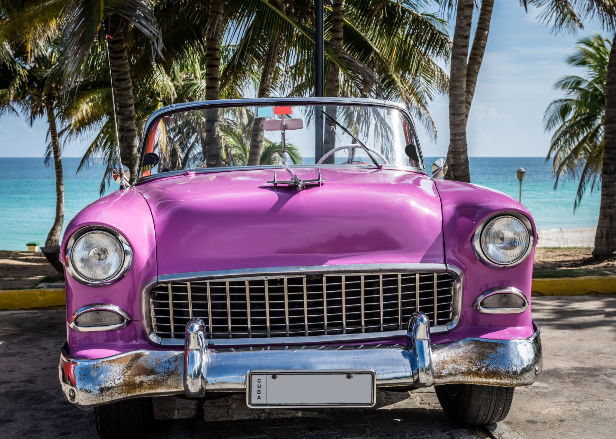 tropical car wrap