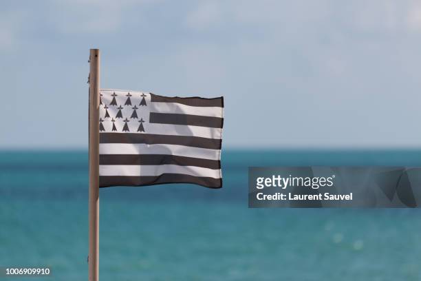 brittany flag with the horizon of the atlantic ocean in the background - bretagne photos et images de collection