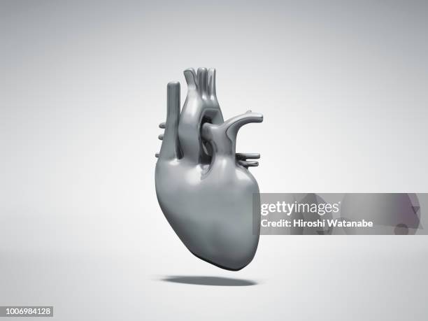 normal metal heart - heart anatomy fotografías e imágenes de stock