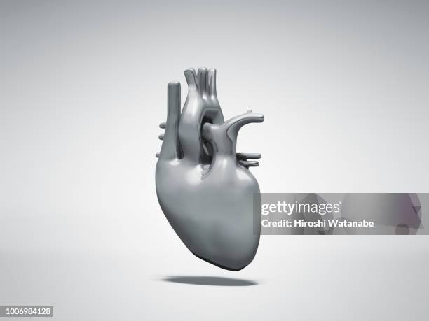 normal metal heart - blood vessels stockfoto's en -beelden