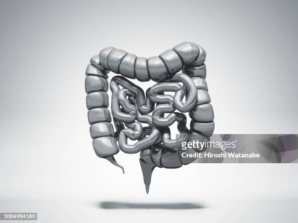 normal metal colon - gastrointestinal tract stock-fotos und bilder