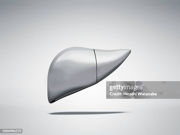 normal metal liver - higado fotografías e imágenes de stock