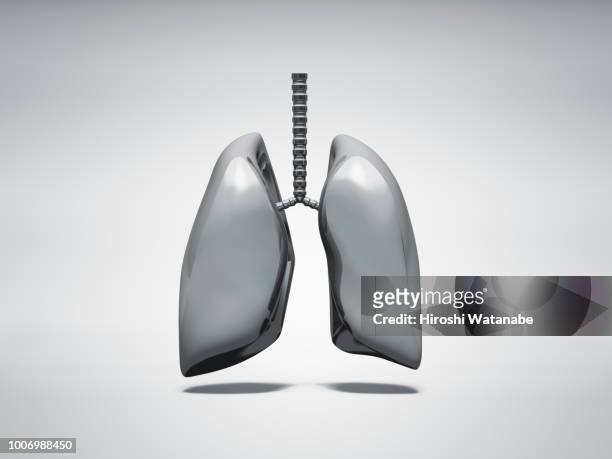 normal metal lung - lunge stock-fotos und bilder