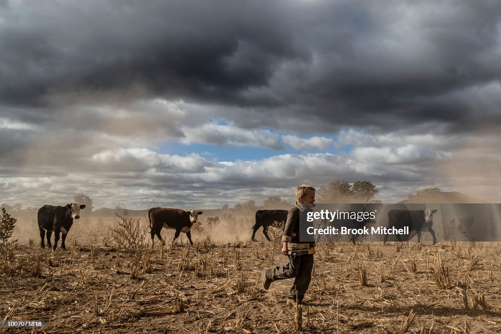 New South Wales Farmers Battle Crippling Drought