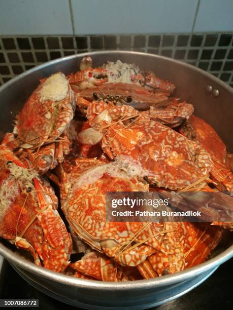 fresh crabs - caldera-herramientas-industriales fotografías e imágenes de stock
