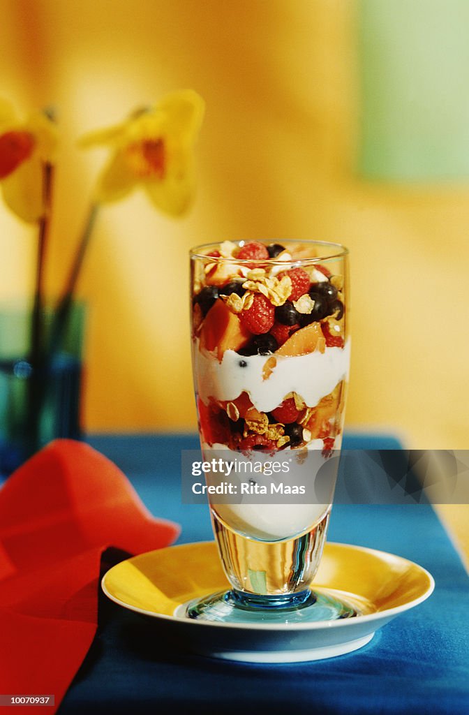 YOGURT FRUIT GRANOLA SUNDAE