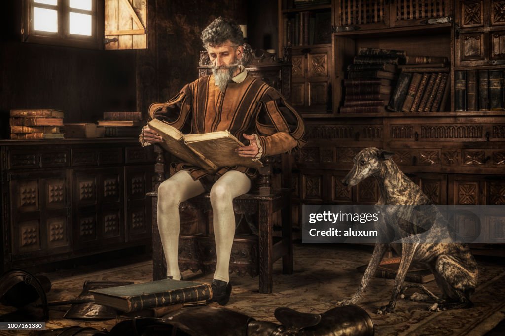 Don Quixote reading chivalry books